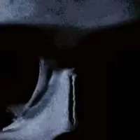 dsilv3r