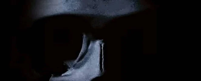 dsilv3r