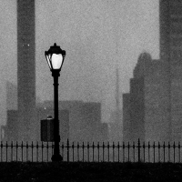 Photo by Phil Penman